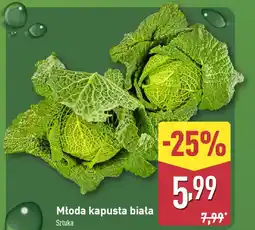 ALDI Młoda kapusta biała oferta