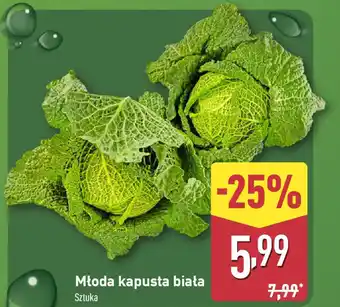 ALDI Młoda kapusta biała oferta