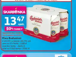 Auchan Piwo Budweiser oferta