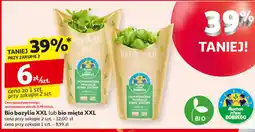 Auchan Bio bazylia XXL lub bio mięta XXL oferta