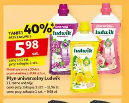 Auchan Płyn uniwersalny Ludwik oferta