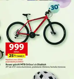 Auchan Rower górski MTB Orlica lub Diablak oferta