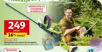 Auchan Akumulatorowe nożyce do żywopłotu oferta
