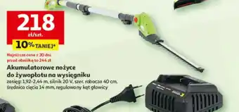 Auchan Akumulatorowe nożyce do żywopłotu na wysięgniku oferta