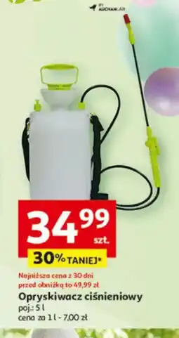 Auchan Opryskiwacz ciśnieniowy oferta