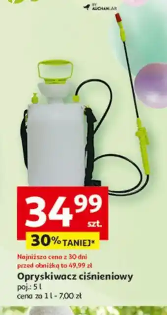Auchan Opryskiwacz ciśnieniowy oferta