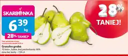 Auchan Gruszka oferta