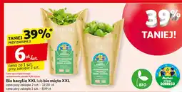 Auchan Mięta bio Auchan Pewni Dobrego oferta