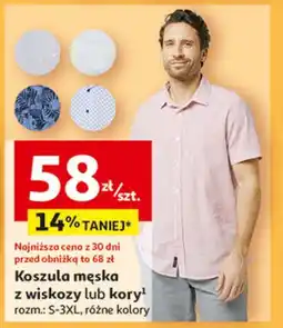 Auchan Koszula męska s-3xl oferta