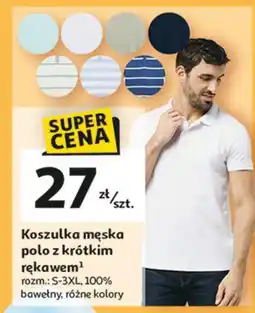 Auchan Koszulka męska polo romz. s-3xl Martex oferta