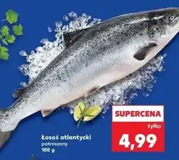 Kaufland Łosoś atlantycki patroszony oferta