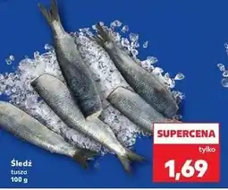 Kaufland Śledz tusza oferta
