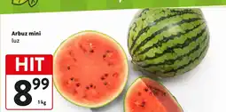 Intermarche Arbuz mini oferta