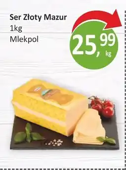 Passa Mlekpol Ser Złoty Mazur oferta
