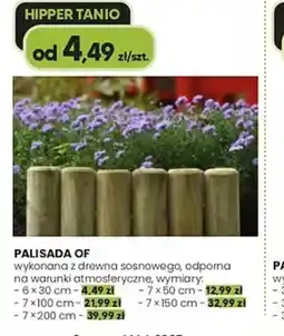 Hipper.pl Palisada OF oferta