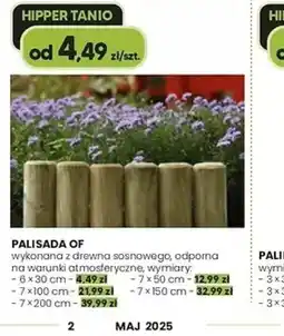 Hipper.pl Palisada OF oferta