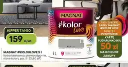 Hipper.pl Farba Magnat #kolorlove oferta