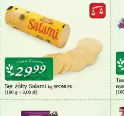 Cezar Delikatesy Ser żółty Salami oferta