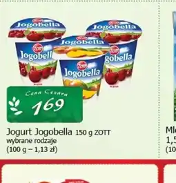 Cezar Delikatesy Jogurt Jogobella oferta
