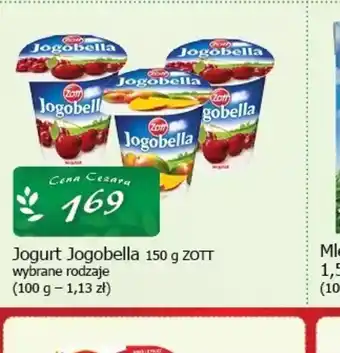 Cezar Delikatesy Jogurt Jogobella oferta