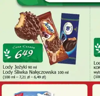 Cezar Delikatesy Lody Jeżyki oferta