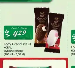 Cezar Delikatesy Lody Grand Koral oferta