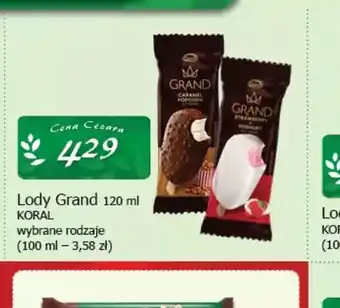 Cezar Delikatesy Lody Grand Koral oferta