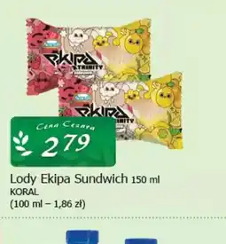 Cezar Delikatesy Lody Ekipa Sundwich oferta