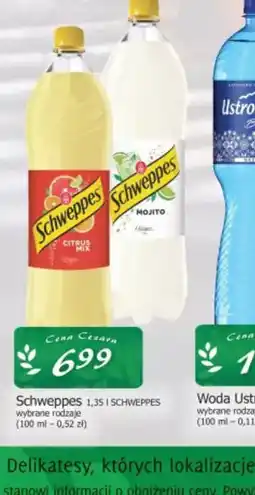 Cezar Delikatesy Schweppes oferta