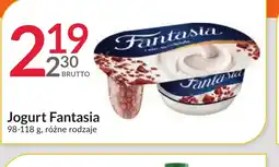 Eurocash Cash & Carry Jogurt Fantasia oferta