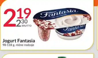 Eurocash Cash & Carry Jogurt Fantasia oferta