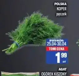 TomiMarkt Polska Koper oferta