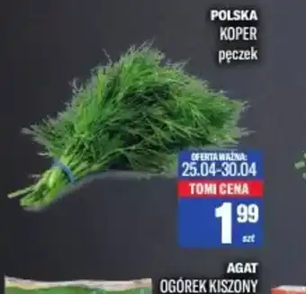TomiMarkt Polska Koper oferta
