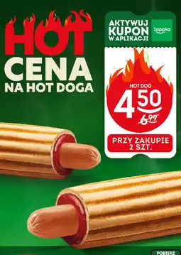 Żabka Hot Dog Żabka oferta