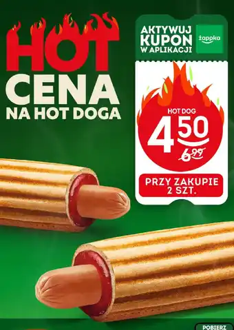 Żabka Hot Dog Żabka oferta