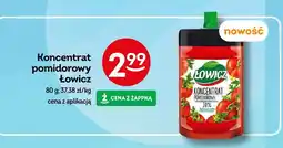 Żabka Koncentrat pomidorowy Łowicz oferta