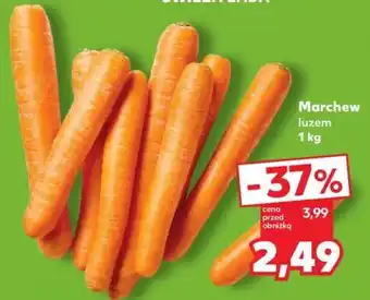 Kaufland Marchew luzem 1 kg oferta