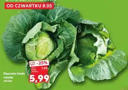 Kaufland Kapusta biała młoda sztuka oferta