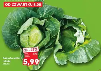 Kaufland Kapusta biała młoda sztuka oferta