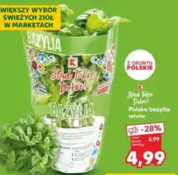 Kaufland Polska bazylia sztuka oferta