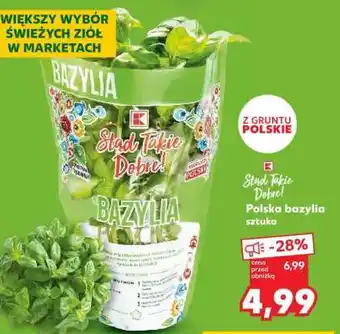 Kaufland Polska bazylia sztuka oferta
