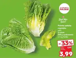 Kaufland Polska sałata rzymska mini oferta
