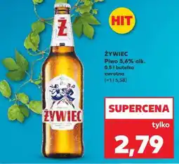 Kaufland Żywiec oferta