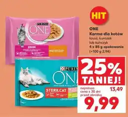 Kaufland ONE Karma dla kotów oferta