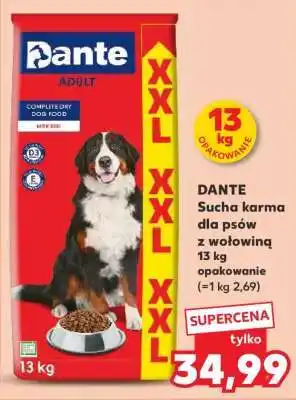 Kaufland DANTE Sucha karma dla psów z wołowiną 13 kg opakowanie oferta