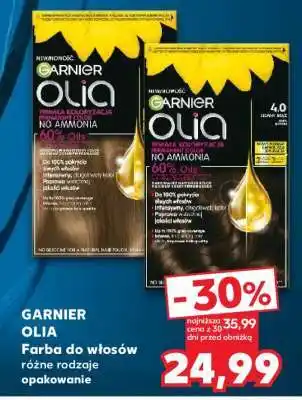 Kaufland GARNIER Olia oferta