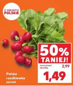 Kaufland Polska rzodkiewka pęczek oferta