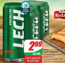 Dino Lech Premium oferta