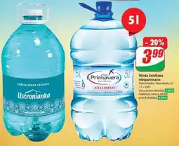 Dino Woda źródlana niegazowana oferta
