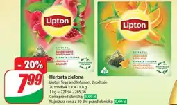 Dino Herbata zielona oferta
